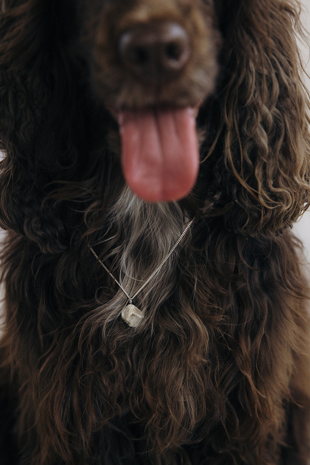Ketting met snuit Maxi