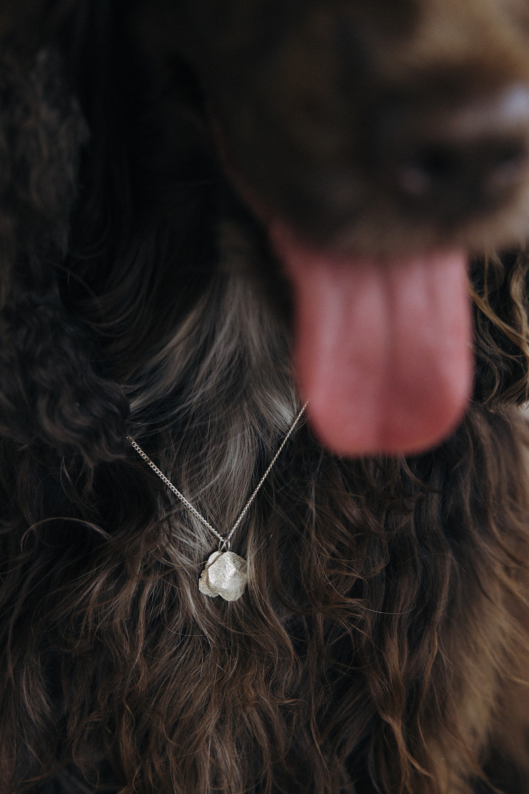 Ketting met snuit Mini
